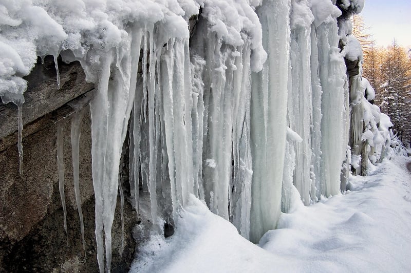 Winter Wonderland